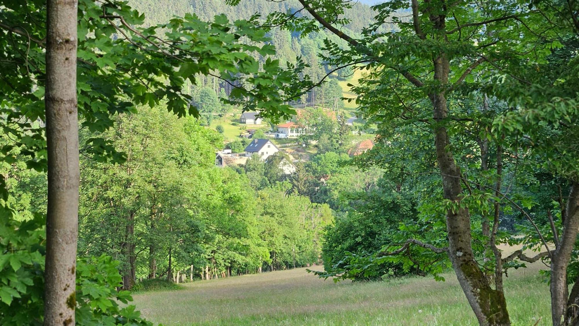 Viwaldi Bike And Apartment *
